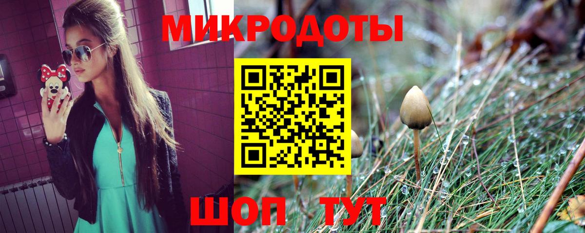 Луга  что такое   Вход с VPN  Псилоцибиновые грибы Magic Shrooms 
